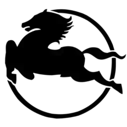 Logo Pegaso - Asistencia y remolque especializado Pegaso | Servicio 24/7